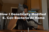 Genetically Modifying E. Coli Bacteria At Home