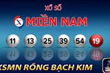 RỒNG BẠCH KIM — THỐNG KÊ XỔ SỐ MIỀN NAM ĐƠN GIẢN