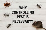 Pests: Understanding and Controlling Unwanted Invaders