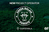 Greenbalm joins OFP to manage 500 hectares of forest cover