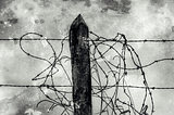 A black & white vintage photo of barbed wire tangled up around a post that is holding up the remnants of a barbed wire fence.