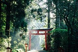 Photo of a Japanese shinto shrine in a green forest, with sunlight washing over it.