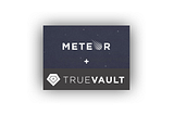 How to Use Meteor with TrueVault for HIPAA Applications