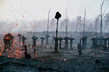 Planning a Life in the Ruins of the American Empire