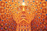 Contemplations on Dimensional Experience: Trees and Eyes
