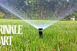 Sprinkle Smart: Maximizing Your Lawn’s Health with Water Wisdom