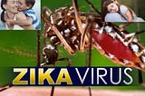“Zika Virus, the Next American Epidemic?”