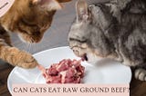 Can Cats Eat Raw Ground Beef: Benefits and Risks