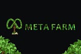 Overview of Meta Farm Verse: A Farm Protocol with the Best Tool Made for the Metaverse!