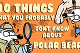 10 Things That You Probably Don’t Know About Polar Bears