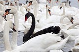 COVID-19, black swans and the power of flexible banking technology