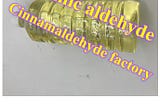 Cinnamaldehyde Factory CAS 104–55–2 Cinnamic aldehyde manufacturer