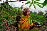 Africa’s Journey towards Adaptation, where we are and where we need to go