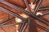 Cat Stuck Inside Rafters