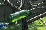 What Is A Bottle Tree? And How To Easily Add One To Your Garden