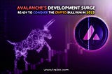 Avalanche’s Development Surge: Ready to Conquer the Crypto Bull Run
