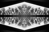 Image of bare branches from trees in winter. The image has two parts. Each one mirrors the other. The branches grow outward and divide so that the remind you of the bronchial tubes and smaller tubes inside the lungs.