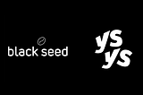 YSYS x Black Seed VC Partnership: Introducing Virtual Masterclasses for Aspiring Black…