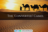 The ‘Converted’ Camel