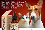 Unlocking the Benefits: Charlie Buddy Hemp Oil for Dogs & Cats Explained