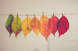 How To Achieve Change