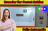 Raising Parrot Babies Made Easy with Our Brooder