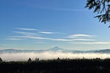 A view of Mt. Hood from Mt. Tabor, taken on today’s hike.