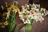 Cut flowers: narcissi in a vases