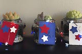 Star Spangled Hanging Succulent Planters