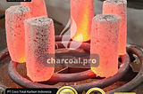 Hexagonal coconut charcoal