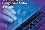 What is the purpose of creating the Gaugecash Index System?