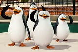 A minha teoria, baseada nos Pinguins de Madagascar