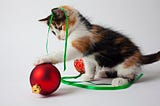 “A Christmas tree ornament took my cousin’s leg”