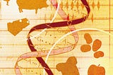 The Truth About DNA-Based Diet Advice