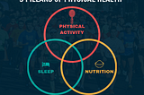 The 3 Pillars of Physical Health —  A Practical Guide