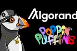 Poppin Puffins are moving to Algorand. A New Chapter Begins