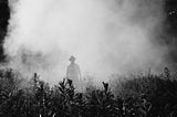 A man walks in the fog among high brush. Photo by Elijah Hail on Unsplash