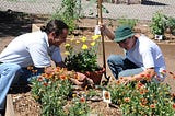 Inclusive Spaces: Promoting Diversity and Inclusion in Community Gardens