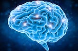 Neuroplasticity is Based on an Error