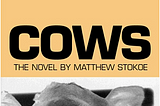 Cows by Matthew Stokoe: My Thoughts