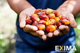 Grasp the Opportunity to Export Red Palm Oil to China