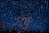 Thoughts on Aging, Elections, and Space-time