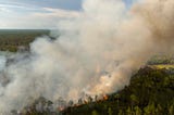 Smoke rising from a prescribed forest fire