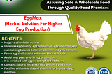 Poultry Feed EggMax Manufacturing and Export from India