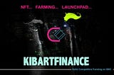 Kibart: Post-Launch Debrief and Roadmap