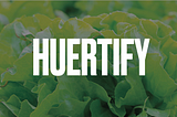 Proyecto 1: Huertify