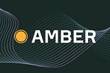 Why We Invested: Amber Technologies Inc.