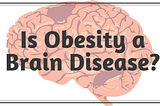 The Impact of Obesity on Brain Structure and Function