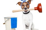 How Clean Kennels Affect Your Dog Care Business