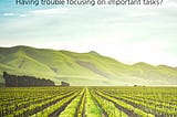 Having trouble focusing on important tasks?